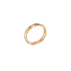 Alliance Torsade de Chaumet