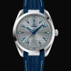 Aqua Terra 150M Co‑Axial Master Chronometer 41 mm
