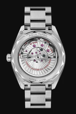 Aqua Terra 150M Co‑Axial Master Chronometer 41 mm