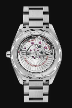Aqua Terra 150M Co‑Axial Master Chronometer 41 mm