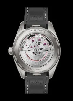 Aqua Terra 150m co‑axial master chronometer GMT worldtimer 43 mm