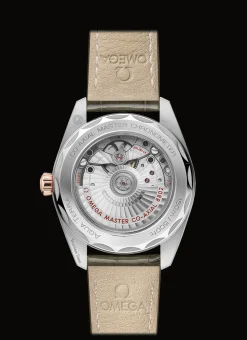 Aqua Terra 150M Co‑Axial Master Chronometer Petite Seconde 38 mm