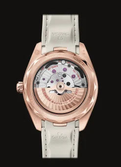 Aqua Terra 150M Co‑Axial Master Chronometer Petite Seconde 41 mm