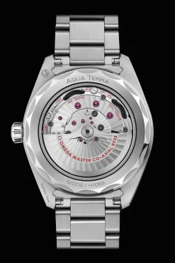 Aqua Terra 150M Co‑Axial Master Chronometer GMT Worldtimer 43 mm