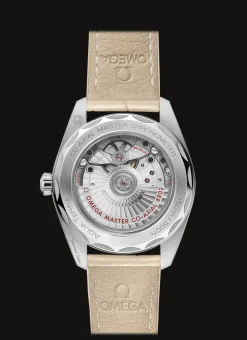 Aqua Terra 150M Co‑Axial Master Chronometer Petite Seconde 38 mm