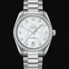 Aqua Terra 150M Co‑Axial Master Chronometer pour femme 38mm