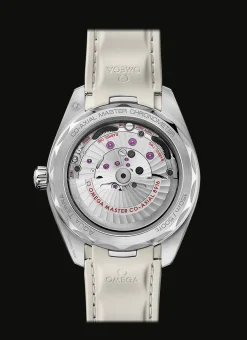 Aqua Terra 150M Co‑Axial Master Chronometer Petite Seconde 41 mm