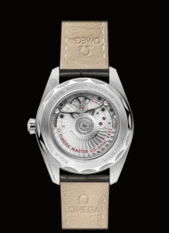Aqua Terra 150M Co‑Axial Master Chronometer Petite Seconde 38 mm