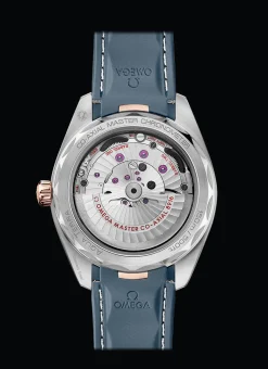 Aqua Terra 150M Co‑Axial Master Chronometer Petite Seconde 41 mm