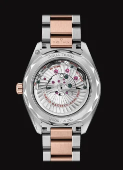 Aqua Terra 150M Co‑Axial Master Chronometer 41 mm