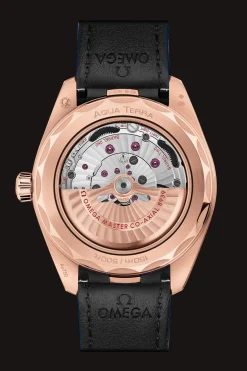 Aqua Terra 150M Co‑Axial Master Chronometer GMT Worldtimer 43 mm