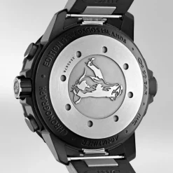 Aquatimer Chronographe Edition « Galapagos Islands »