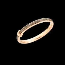 Bracelet Jonc Iconica