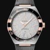 Constellation Co‑Axial Master Chronometer 41 mm