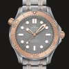 Diver 300M Co‑Axial Master Chronometer 42mm
