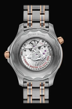Diver 300M Co‑Axial Master Chronometer 42mm
