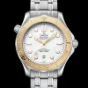 DIVER 300M CO‑AXIAL MASTER CHRONOMETER 42 MM