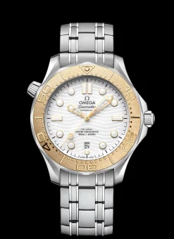 DIVER 300M CO‑AXIAL MASTER CHRONOMETER 42 MM
