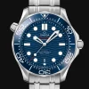 Diver 300M Co‑Axial Master Chronometer 42mm