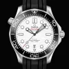 Diver 300M Co‑Axial Master Chronometer 42mm