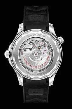 Diver 300M Co‑Axial Master Chronometer 42mm