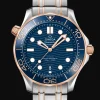 Diver 300M Co‑Axial Master Chronometer 42mm