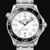 Diver 300M Co‑Axial Master Chronometer 42mm
