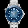 DIVER 300M CO‑AXIAL MASTER CHRONOMETER 42 MM