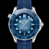 DIVER 300M CO‑AXIAL MASTER CHRONOMETER 42 MM