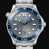Diver 300M Co‑Axial Master Chronometer 42mm