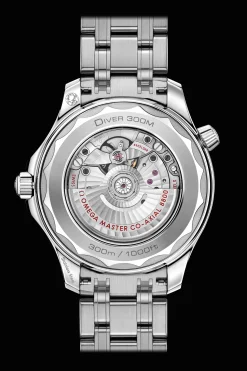 Diver 300M Co‑Axial Master Chronometer 42mm