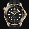 Diver 300M Co‑Axial Master Chronometer 42mm