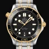 Diver 300M Co‑Axial Master Chronometer 42mm