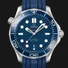 Diver 300M Co‑Axial Master Chronometer 42mm