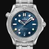 Diver 300M Co‑Axial Master Chronometer 42mm