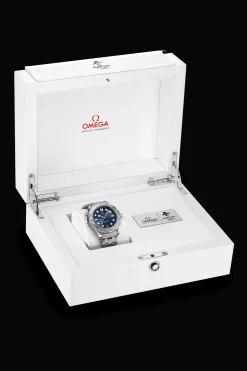Diver 300M Co‑Axial Master Chronometer 42mm
