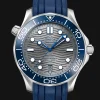 Diver 300M Co‑Axial Master Chronometer 42mm