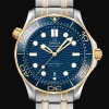 Diver 300M Co‑Axial Master Chronometer 42mm