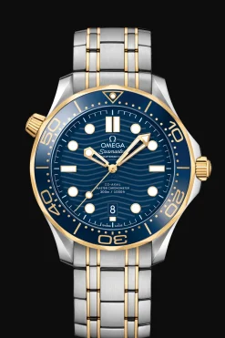 Diver 300M Co‑Axial Master Chronometer 42mm