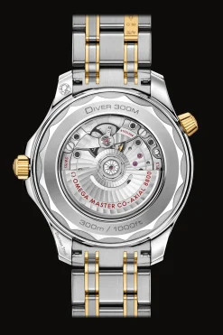 Diver 300M Co‑Axial Master Chronometer 42mm