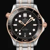 Diver 300M Co‑Axial Master Chronometer 42mm