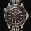 Diver 300M Co‑Axial Master Chronometer 42mm