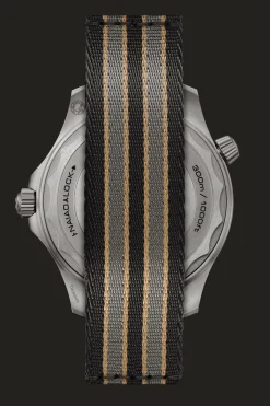 Diver 300M Co‑Axial Master Chronometer 42mm