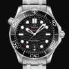 Diver 300M Co‑Axial Master Chronometer 42mm