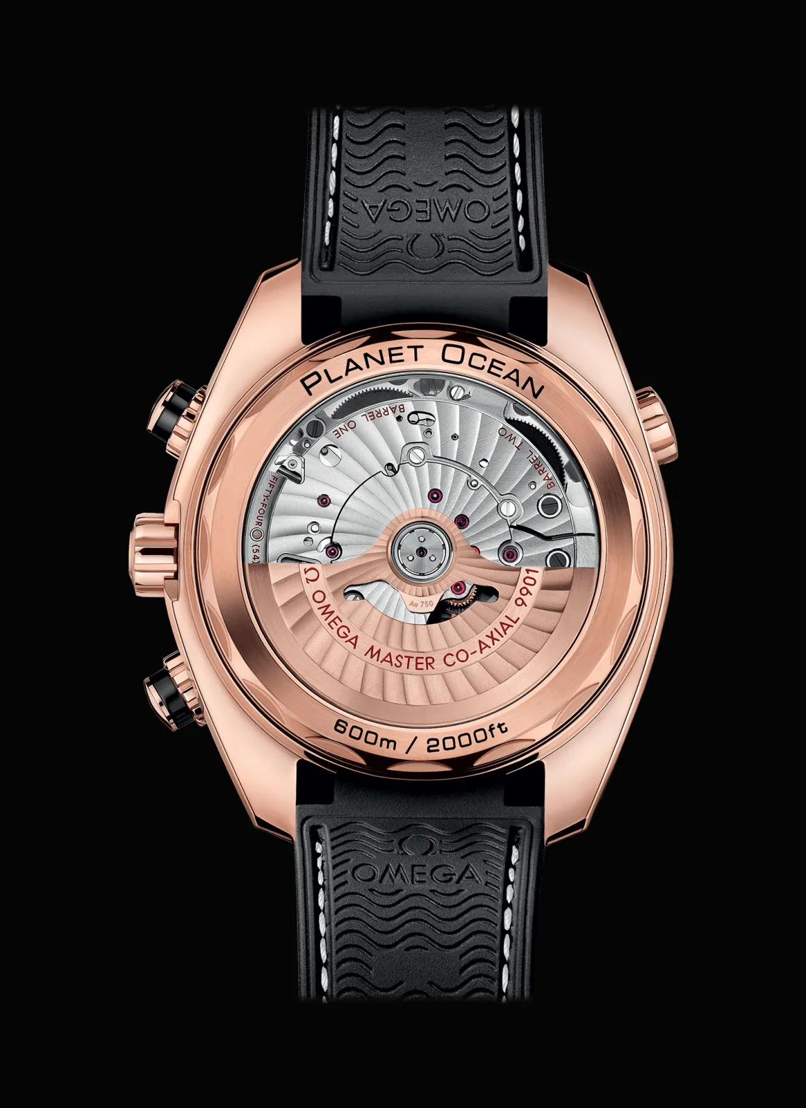 Planet Ocean 600M Chronographe Co‑Axial Master Chronometer 45,5 mm