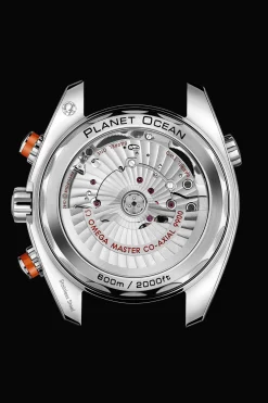 Planet Ocean 600M Chronographe Co‑Axial Master Chronometer 45,5 mm