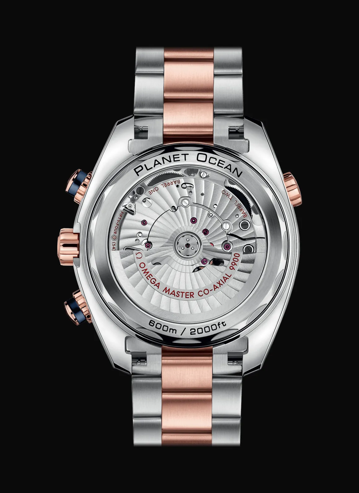 Planet Ocean 600M Chronographe Co‑Axial Master Chronometer 45,5 mm