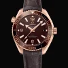 Planet Ocean 600M Co‑Axial Master Chronometer 39,5 mm