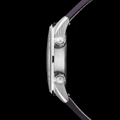 Polaris Automatic