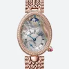 Reine de Naples 8908